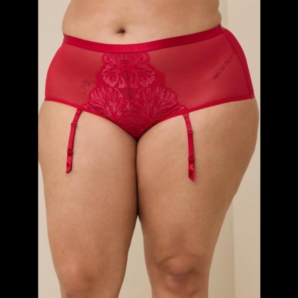 Torrid 4X Shimmer Lace Mid Rise Brief Removable Garter Panty